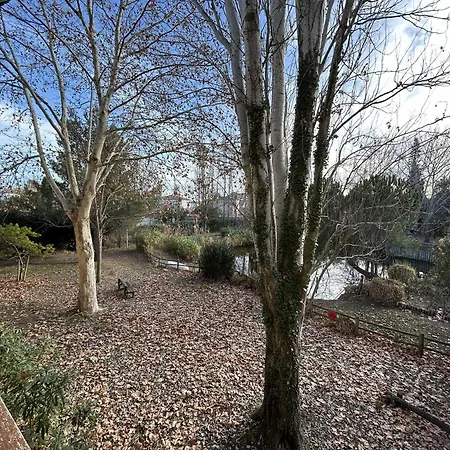 Port Camargue: Appt 2 Pieces 5 Pers, Parking, Terrasse - Fr-1-250-199 Apartamento